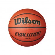 Wilson Evolution Basketball