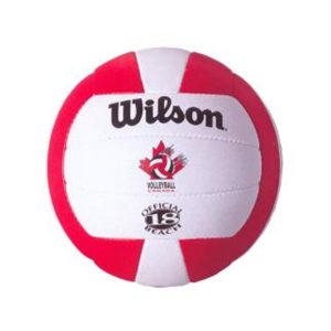 Official Replica Volleyball